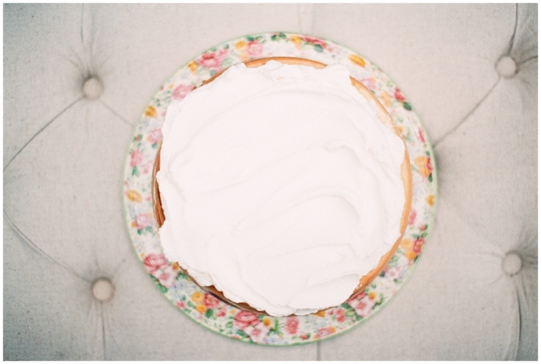 Blueberry Cheesecake Recipe - Warrenton Photographer