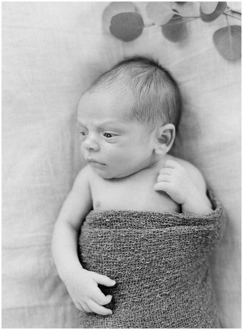 Huntsville Newborn Photographer